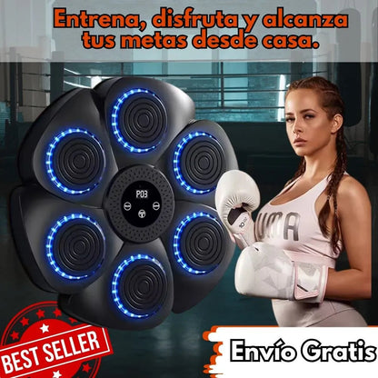 Box Pro Team