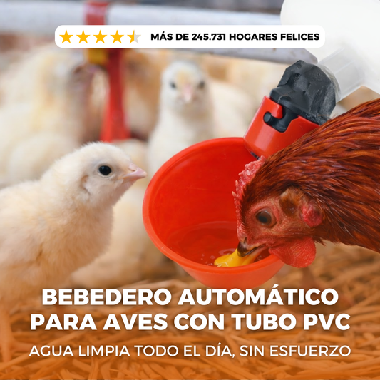 bebedor avino x5