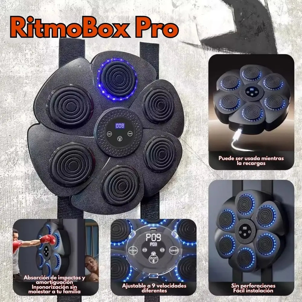 Box Pro Team