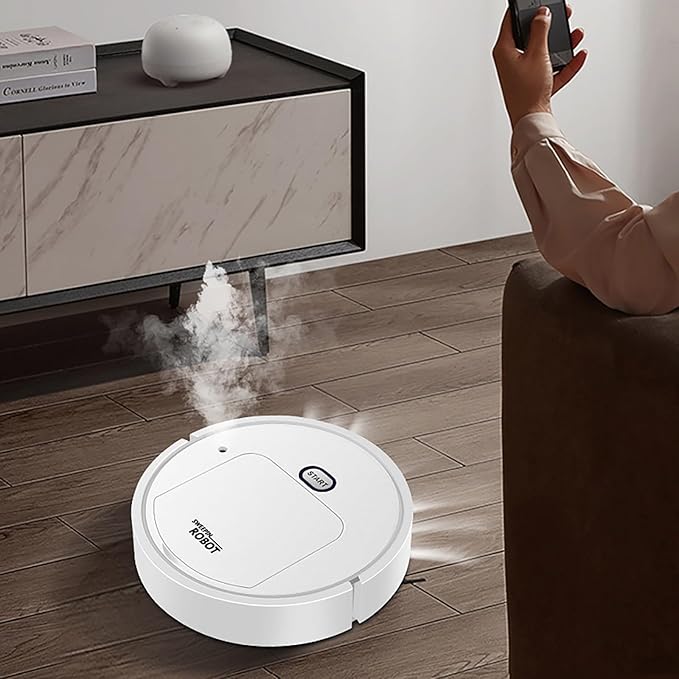 Robot clean