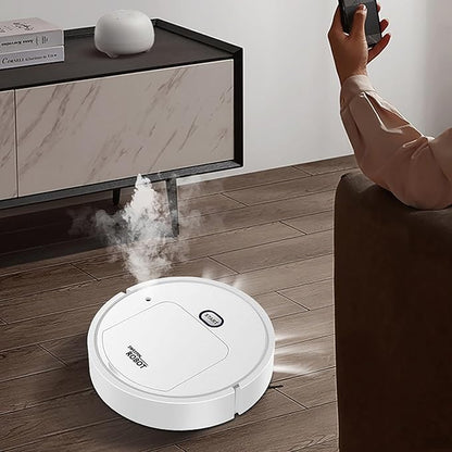 Robot clean